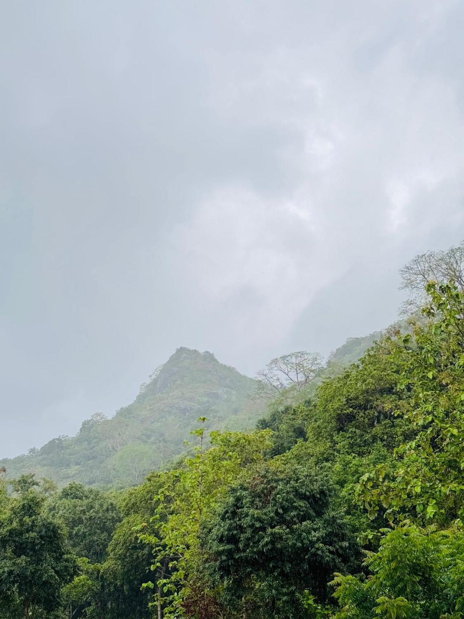 The Forest Edge Resort Dambulla Buitenkant foto